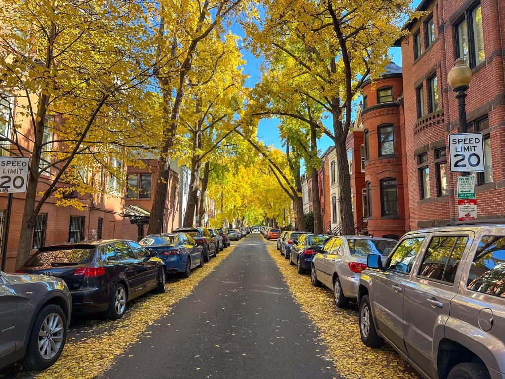 What Borrowers And Investors Should Do Now illustration