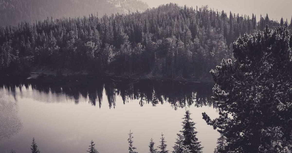 A Comprehensive Guide to CBG Gummies