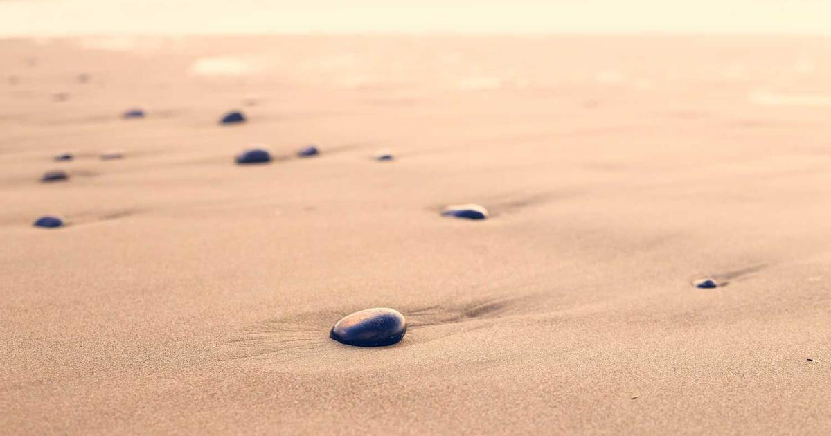 Are Mushroom Gummies Worth Adding to Your Wellness Routine?