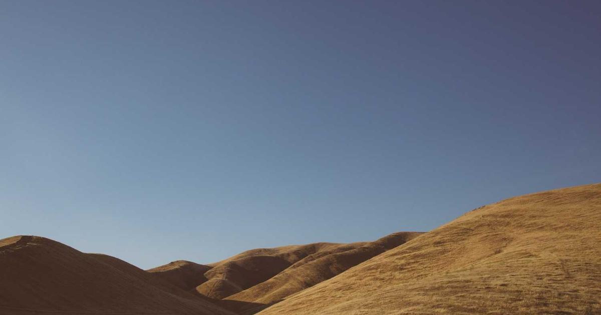 Bakuchiol: A Natural Ingredient for Eye Creams