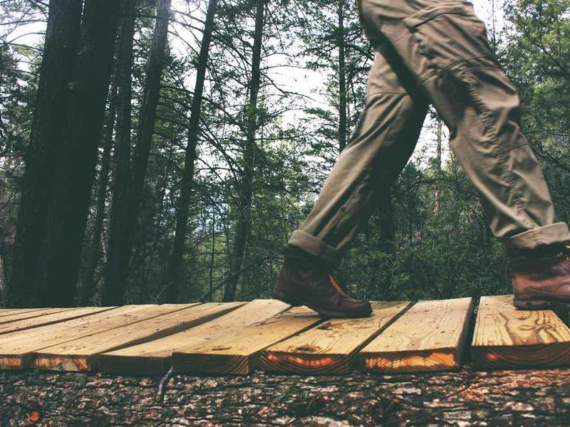 Future Trends And What To Expect illustration