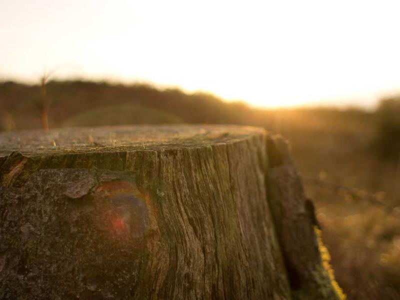 Key Benefits And Advantages illustration