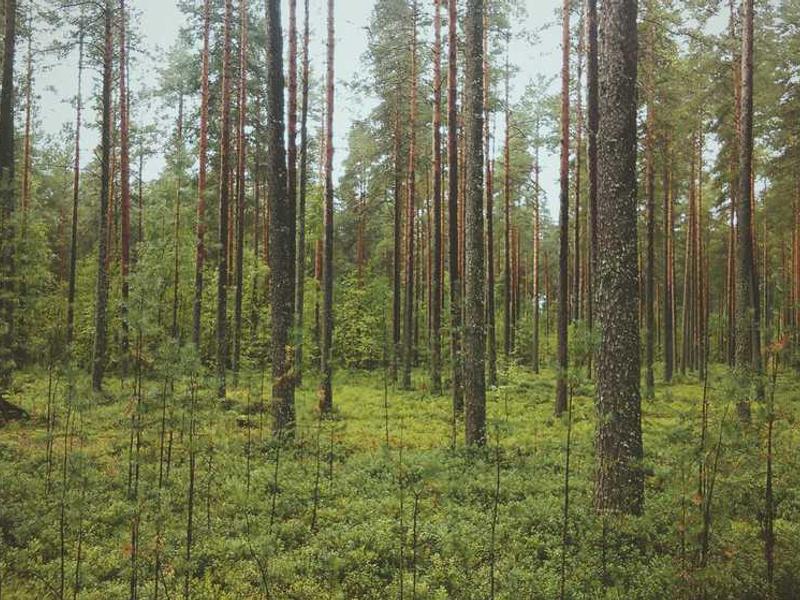 Future Trends And What To Expect illustration