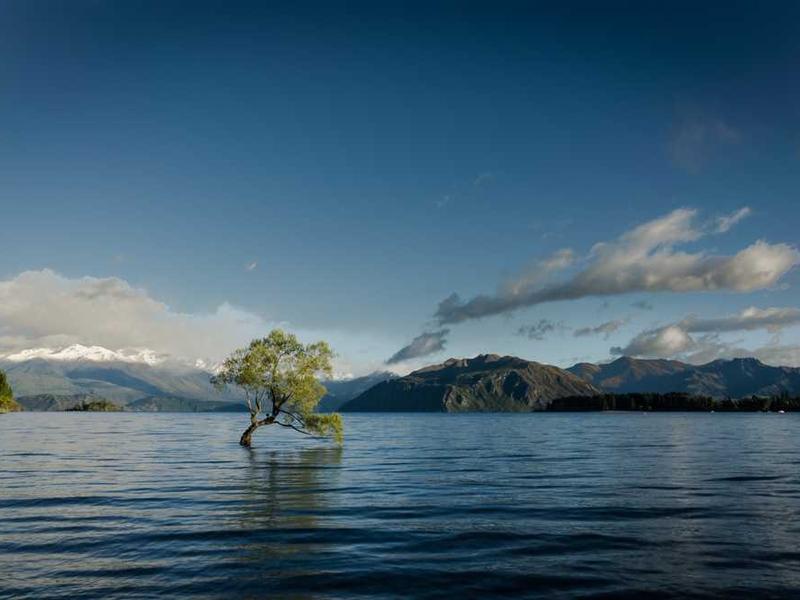 How To Get Started: Step-By-Step Guide illustration