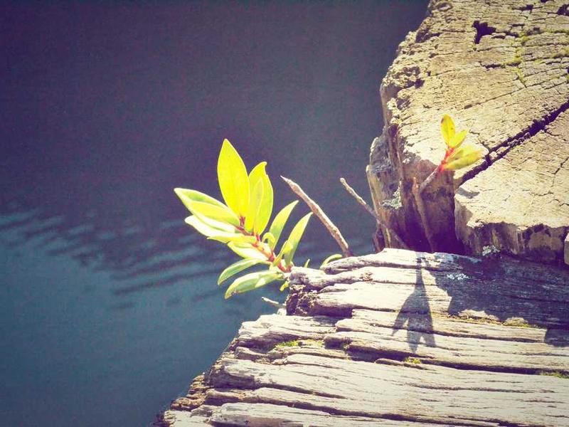 Why This Matters In 2025 illustration