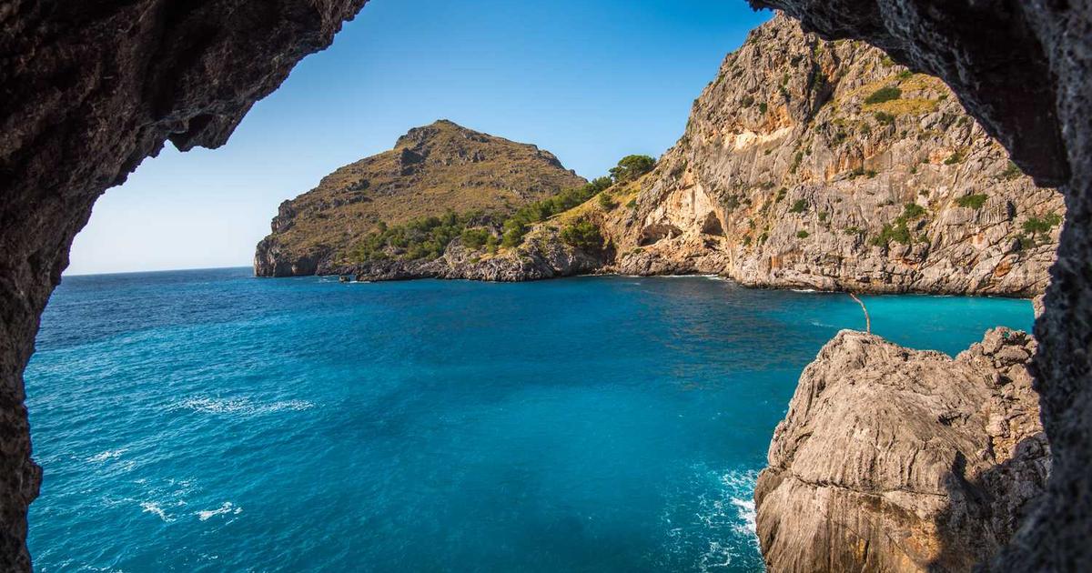 Choosing Safe and Efficient Air Fryers for Healthy Cooking