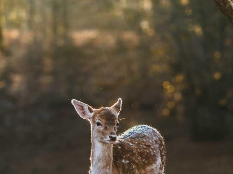 Tools And Resources illustration