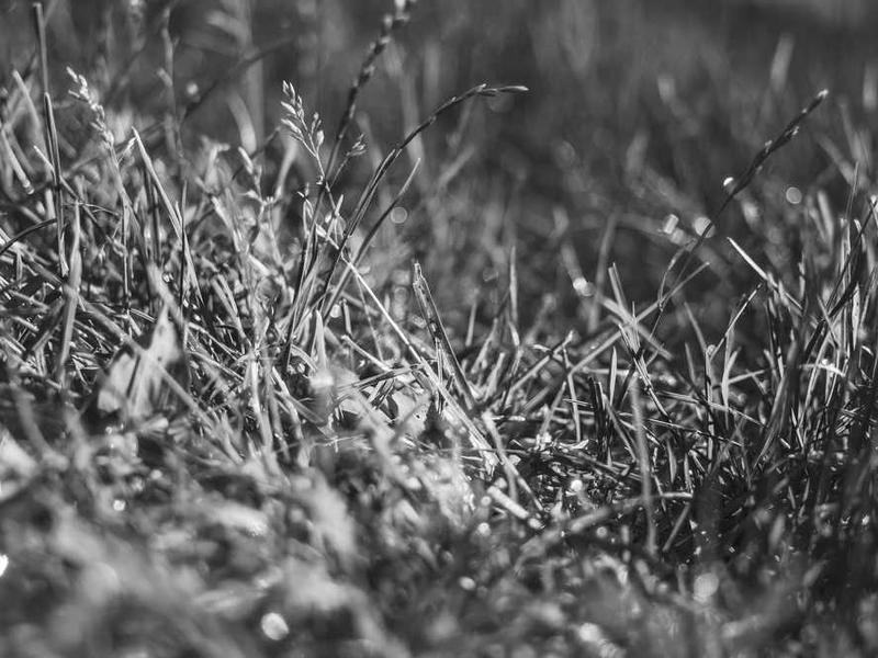 Best Practices And Expert Tips illustration