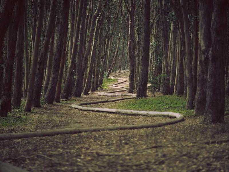 Future Trends And What To Expect illustration