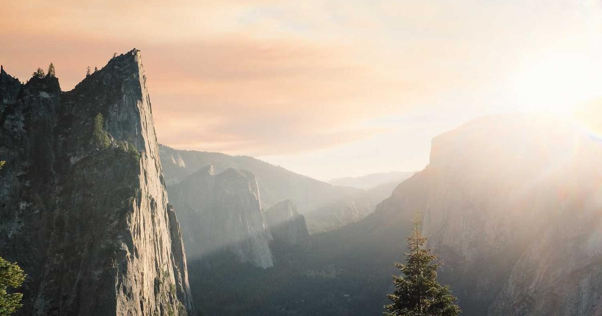 Discovering the Benefits of Japanese Head Spa Treatments