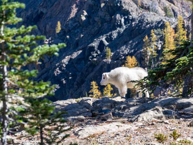 Why This Matters In 2025 illustration