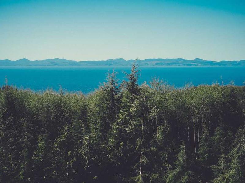 Real-World Applications And Use Cases illustration