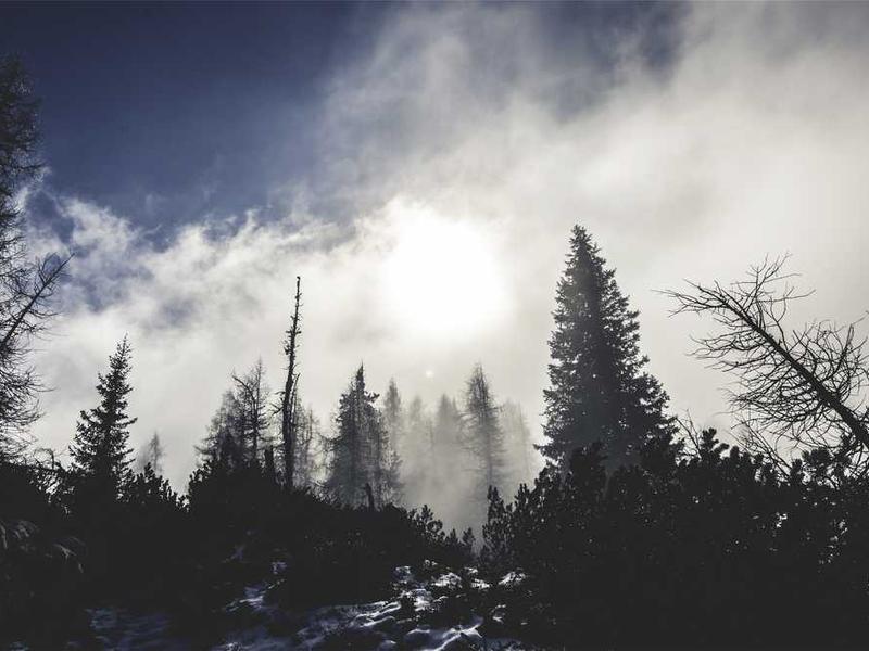 Future Trends And What To Expect illustration