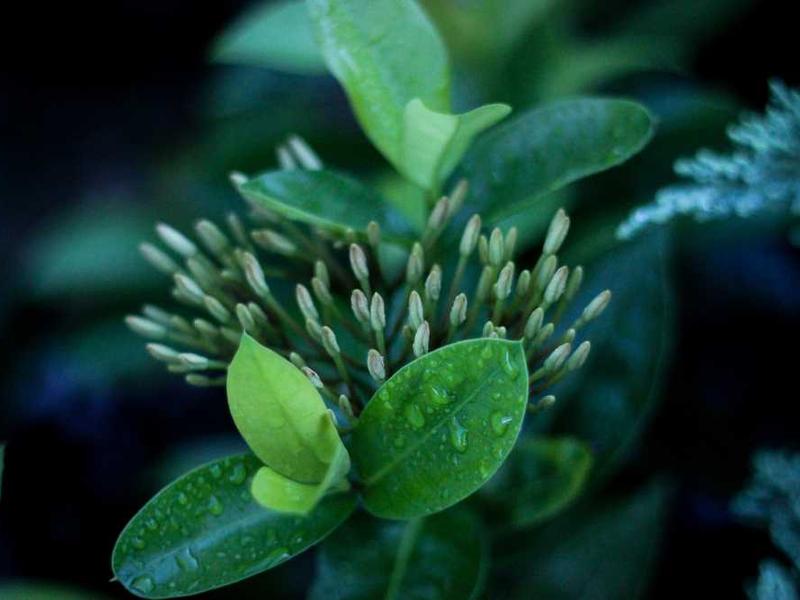 Real-World Applications And Use Cases illustration