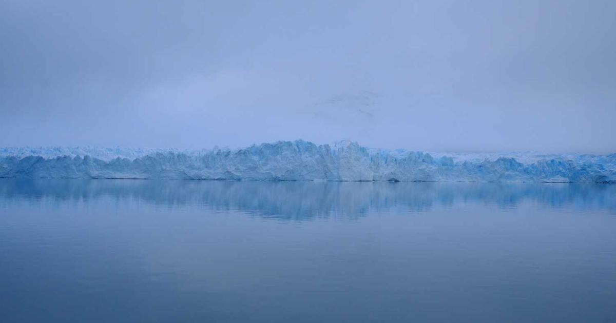 Eco-Friendly Cat Care: Benefits of Tofu Cat Litter