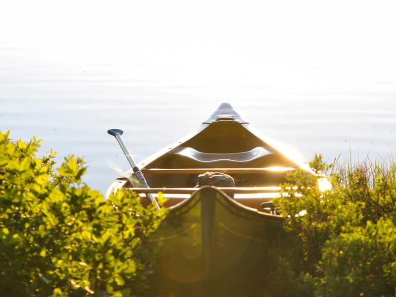 Understanding Exploring Innovations In Lithium Iron Phosphate Battery Technology illustration