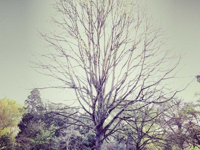 Why This Matters In 2025 illustration