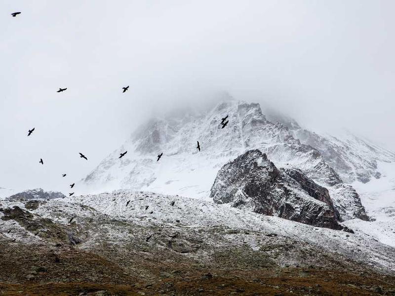 Key Benefits And Advantages illustration