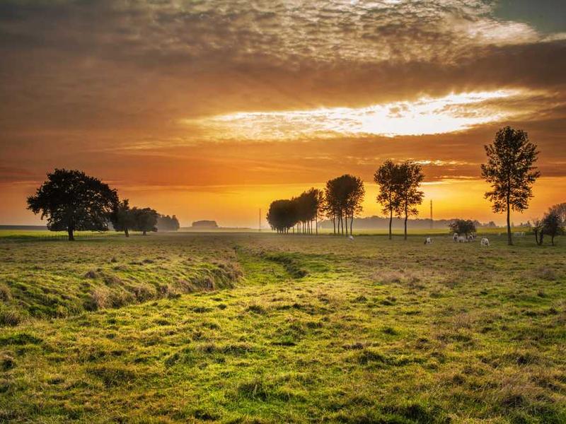 Best Practices And Expert Tips illustration