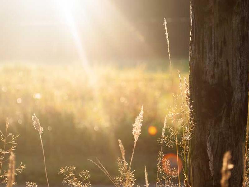 Why This Matters In 2025 illustration