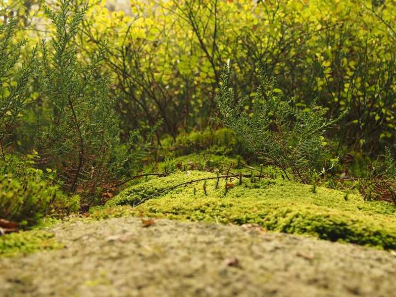 How To Get Started: Step-By-Step Guide illustration