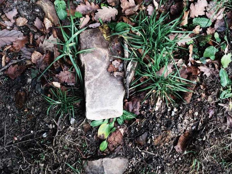 Real-World Applications And Use Cases illustration