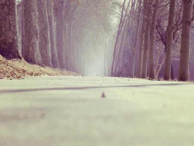 How To Get Started: Step-By-Step Guide illustration