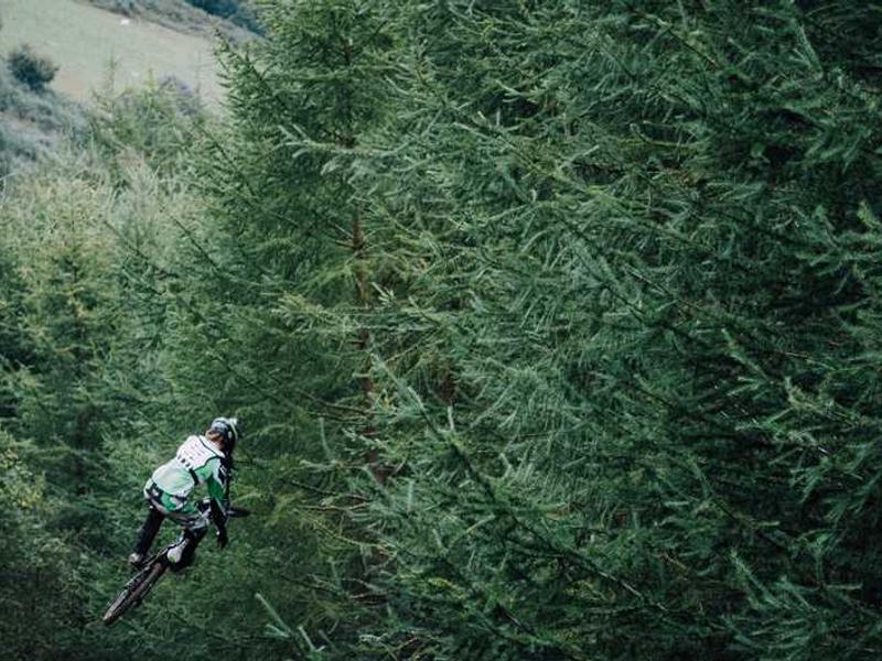 Understanding Aquatic Perfumes Bring Freshness To Your Lifestyle illustration