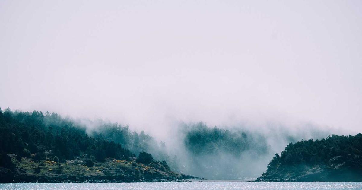 How Databricks Empowers Data Scientists