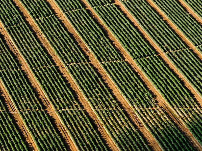 Why This Matters In 2025 illustration