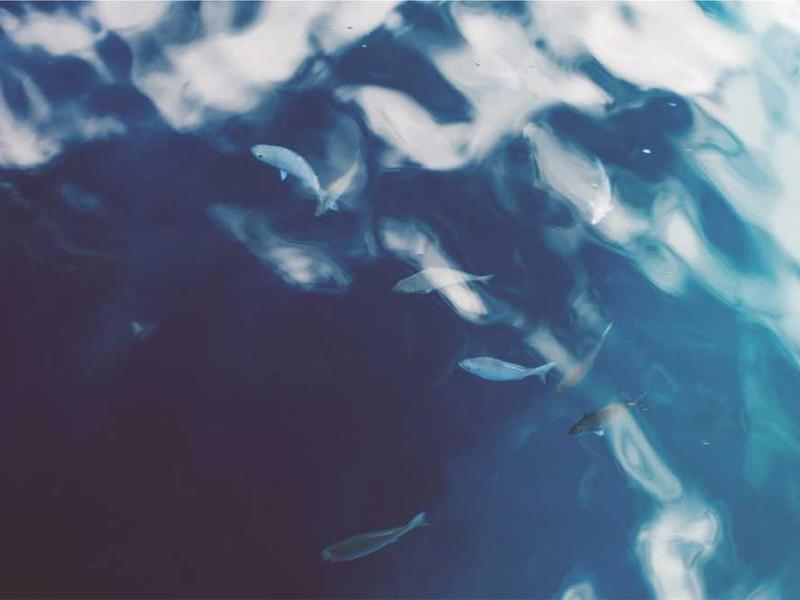 Why This Matters In 2025 illustration