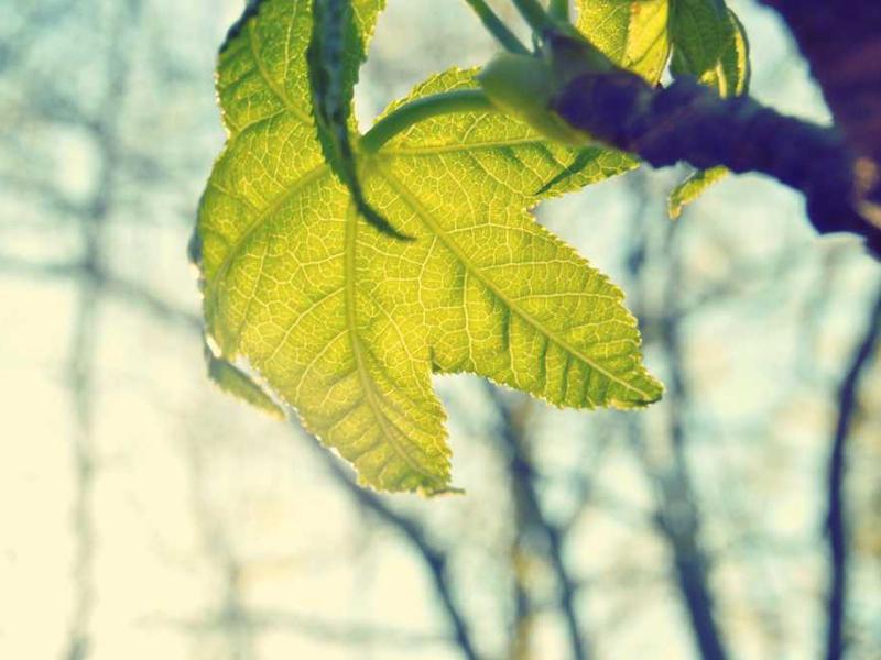 Best Practices And Expert Tips illustration