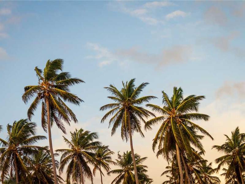 How To Get Started: Step-By-Step Guide illustration