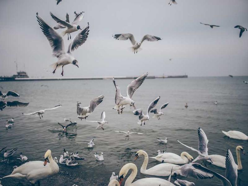 Real-World Applications And Use Cases illustration