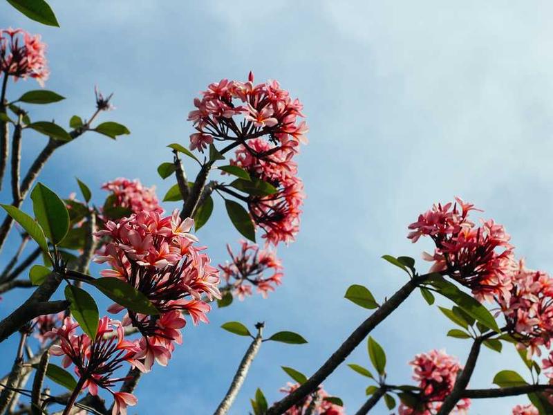 Future Trends And What To Expect illustration