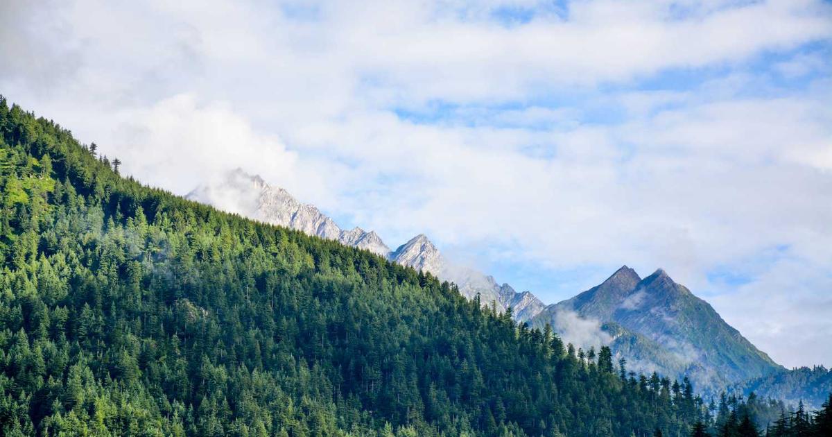 How Shoe Washing Bags Can Protect Your Footwear