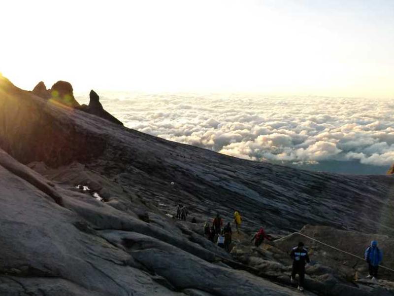 How To Get Started: Step-By-Step Guide illustration