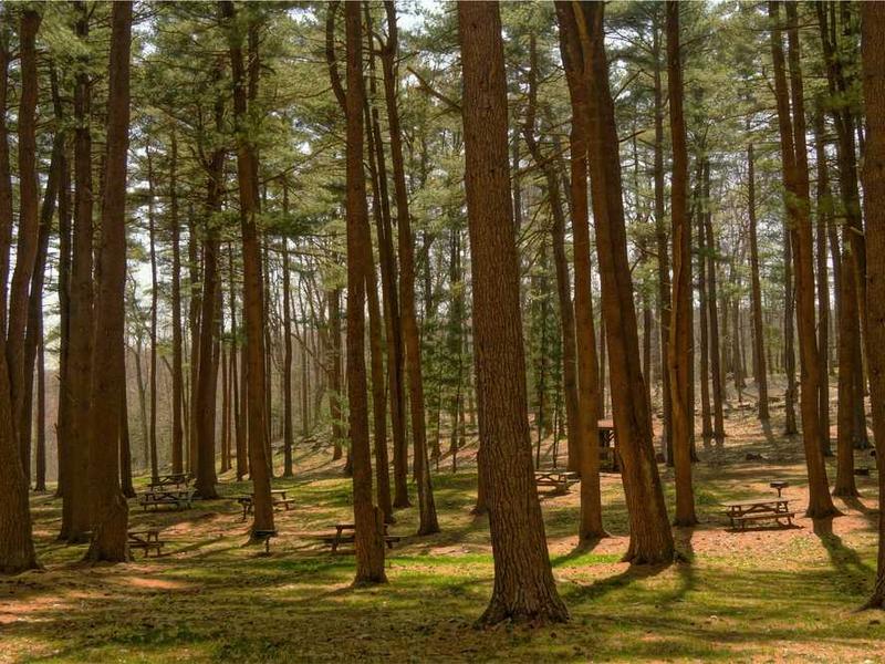 How To Get Started: Step-By-Step Guide illustration