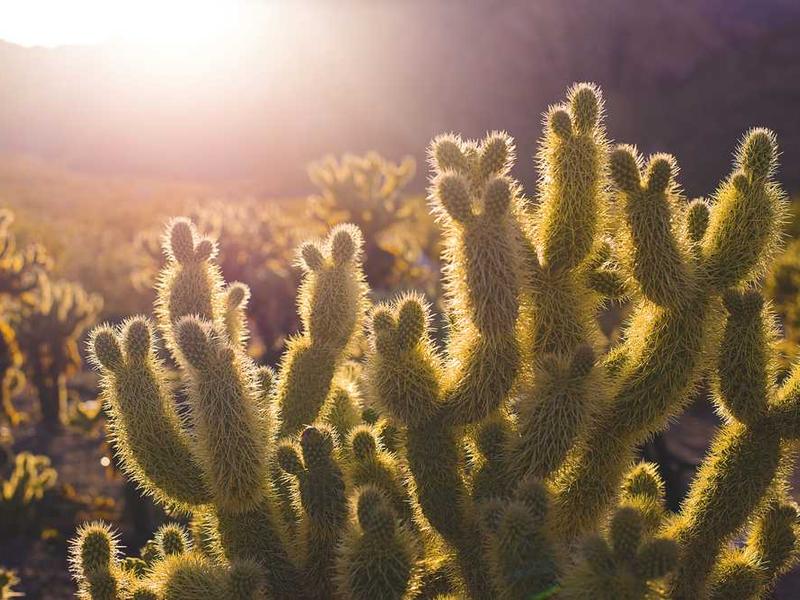 Key Benefits And Advantages illustration