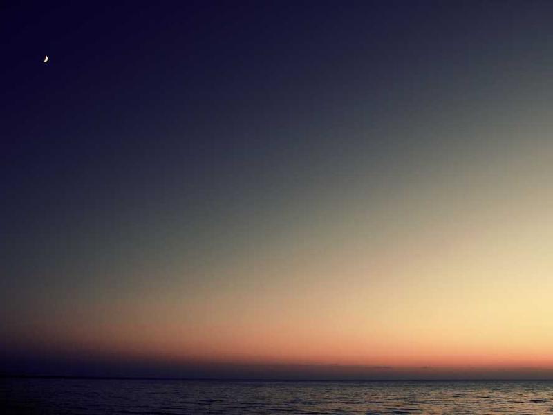 Understanding To Achieve The Wet Look Lash Trend Safely illustration