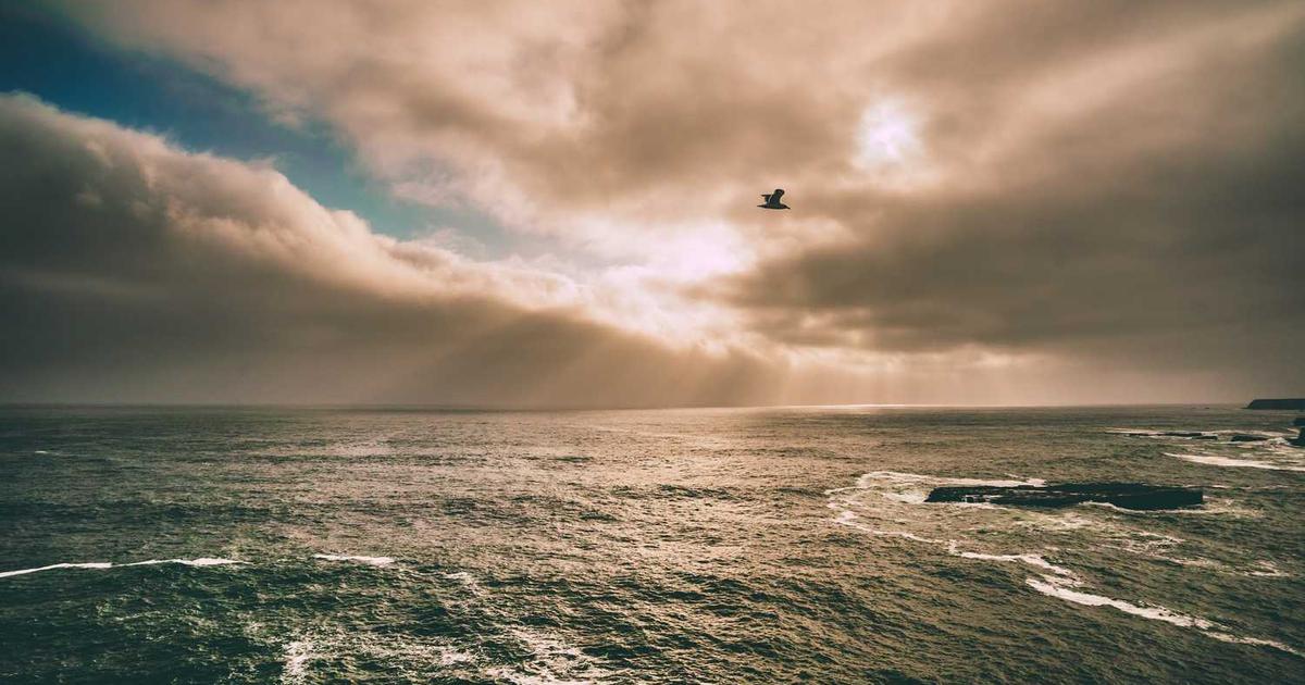 How to Choose the Perfect Pastel Floral Dress