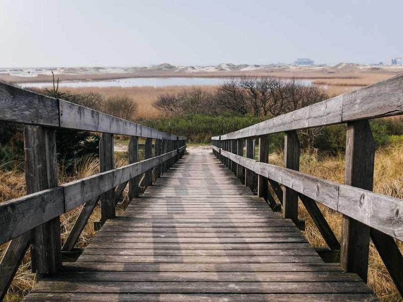 Real-World Applications And Use Cases illustration