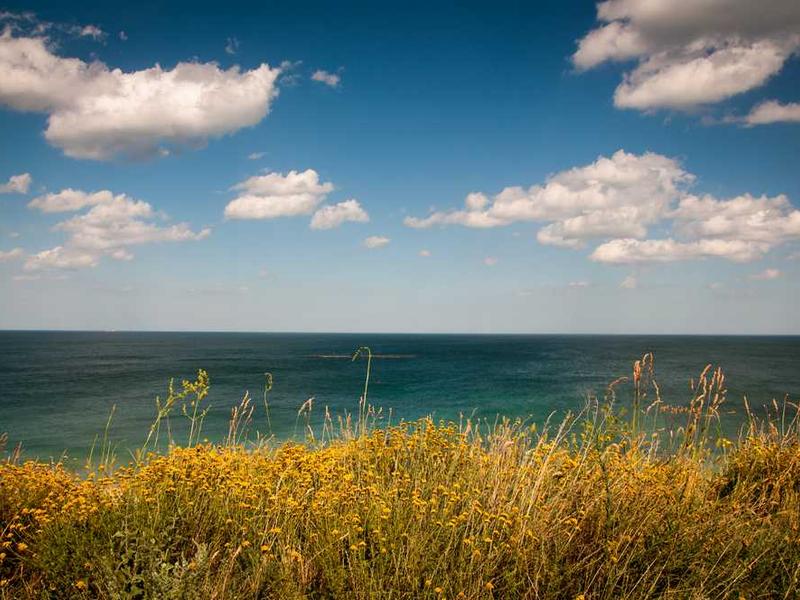 Tools And Resources illustration