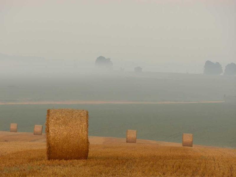 Best Practices And Expert Tips illustration