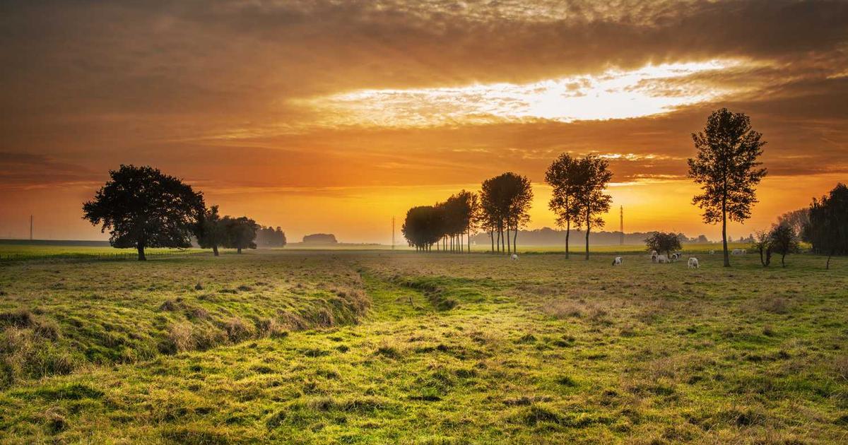 Improving Hiring Processes With AI Recruitment Tools