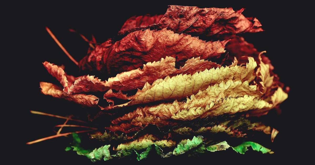 Improving Photo Quality With AI Image Enhancers