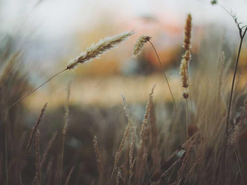 Future Trends And What To Expect illustration