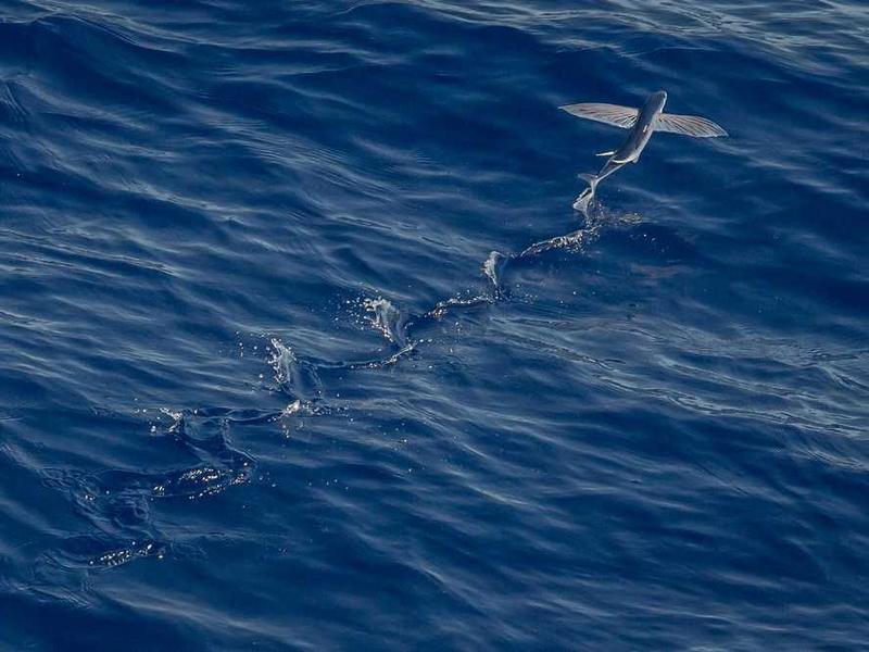 Real-World Applications And Use Cases illustration