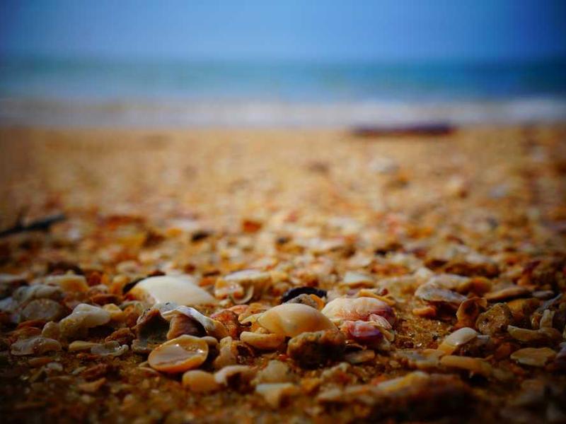 How To Get Started: Step-By-Step Guide illustration