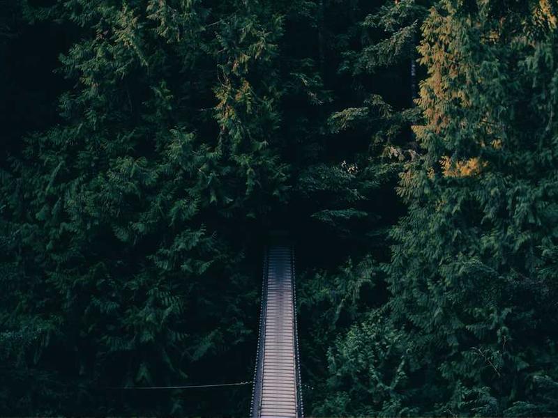 Real-World Applications And Use Cases illustration